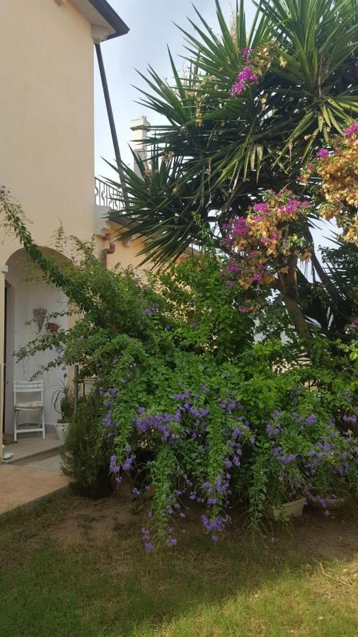 B&B Villa Orchidea オルビア エクステリア 写真